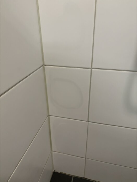 Vitmålade kakelväggar i duschhörn med märkbar fläck eller missfärgning och mörka fogar.