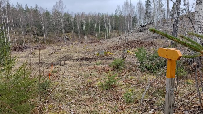 Tom vandringsledsskylt på en stolpe framför en avverkad skog på Östgötaleden.