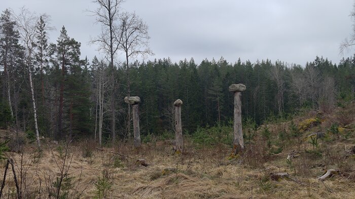 Tre trästolpar med stenar på toppen i en öppning i skogen.