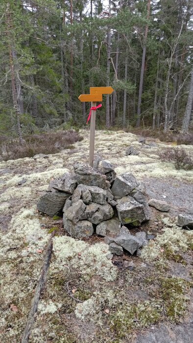 En skogsskylt på en stenpelare med röd markering i ett mossigt skogslandskap.