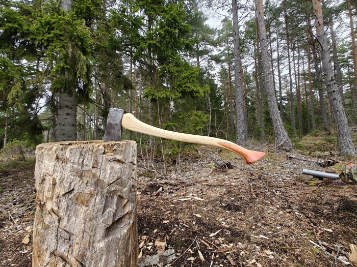 Slipad yxa med nytt skaft, upprätt på en trädstubbe i skogsmiljö.