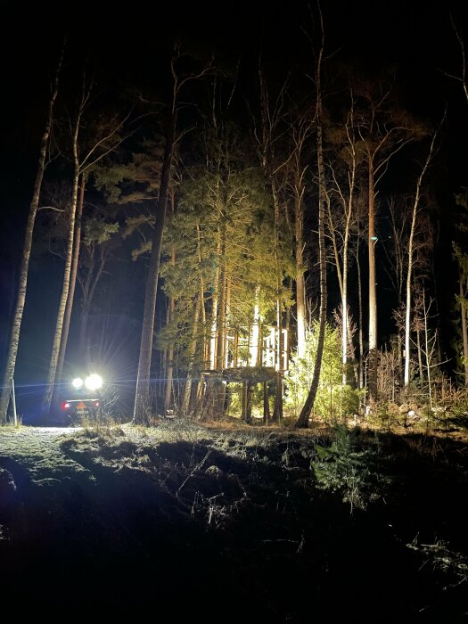 Konstruktion av träkoja i skog om natten med arbetsljus från bil.