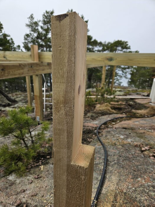 Närbild av nyligen kapad trästolpe i byggprojekt med bärregler i bakgrunden och trädterräng.