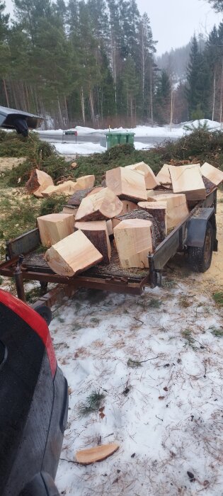 En släpvagn full med färskt sågade tallvedsklabb i olika storlekar med snötäckt mark i bakgrunden.
