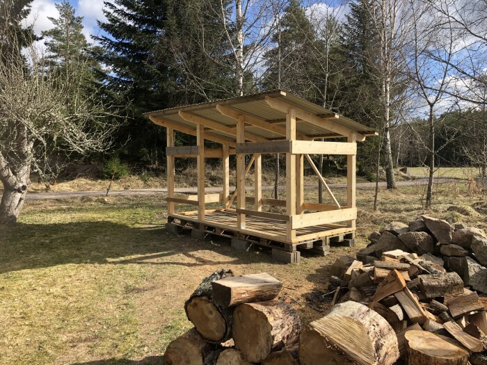 Nytt trävedsskjul i trädgården, obehandlat trä, med hög stapel ved framför.
