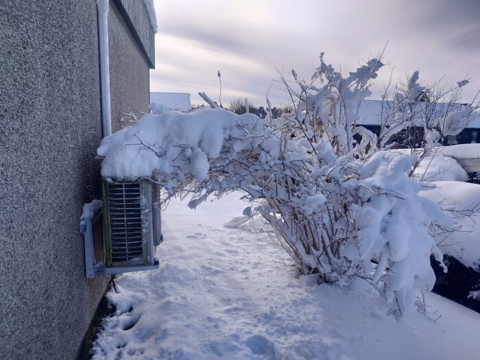 Växt täckt med snö bredvid ett hus med synlig värmepumpsdel och fotspår i snön.