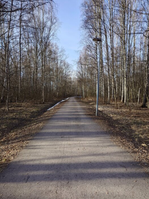 En tom gång- och cykelväg omgiven av kala lövträd och en gatlykta, med långa skuggor på marken.