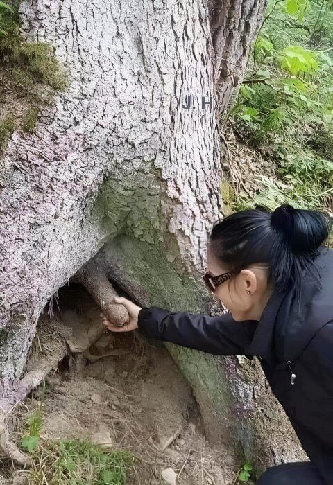 Person som undersöker ett hål vid en trädrot i skogen.