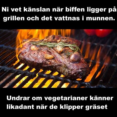 Biff med vitlök och rosmarin som grillas på en grill med glödande kol och flammor.