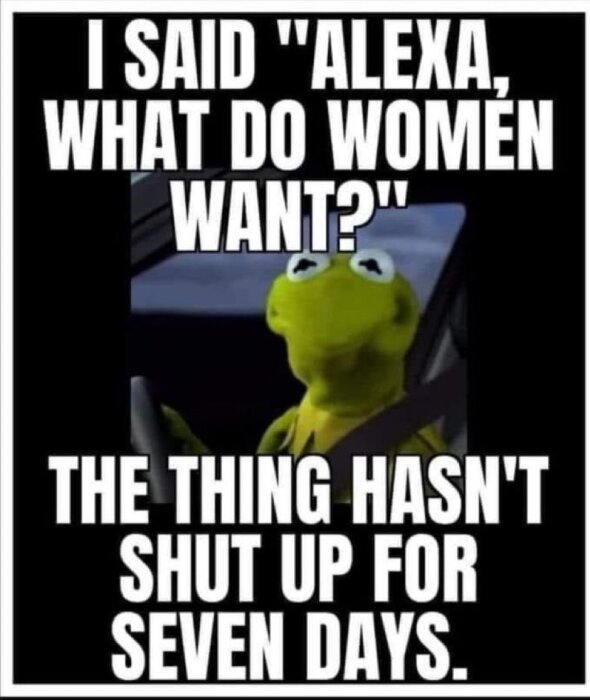 Kermit grodan humoristiskt meme där texten säger "I said 'Alexa, what do women want?' The thing hasn't shut up for seven days.