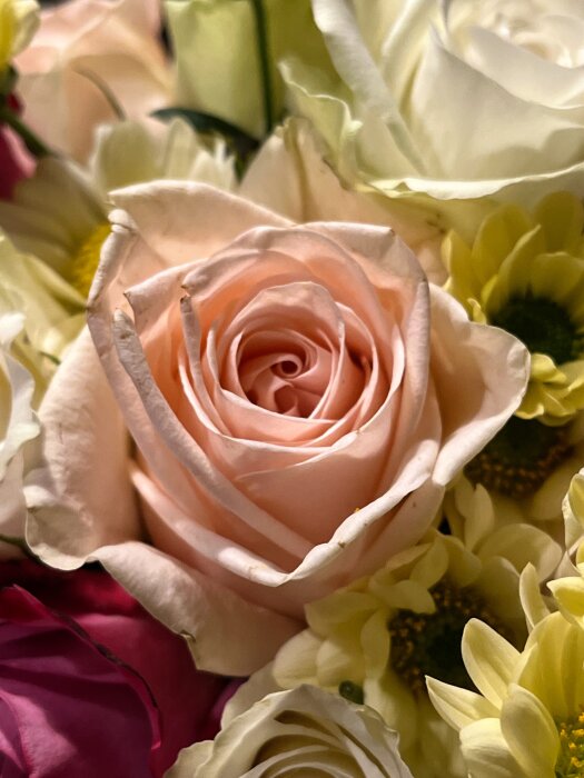 Närbild på en bukett med olika blommor, inklusive en prominent ljusrosa ros i fokus omgiven av vit och gul blommor.