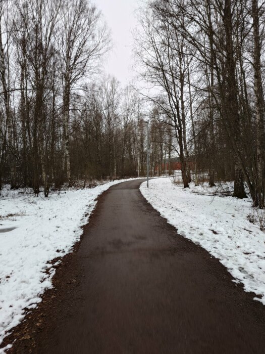 Asfalterad promenadväg som slingrar sig genom ett vinterlandskap med snötäckta träd och mark.