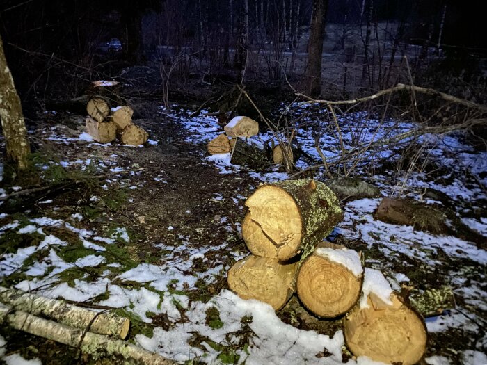 Fällda träd och trädstammar i snöigt skogsområde nattetid, upplysta av en ficklampa eller strålkastare.