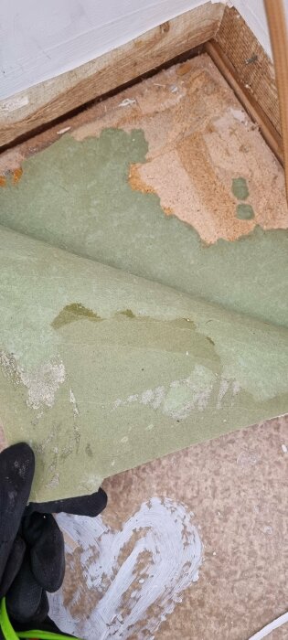En gammal delvis avlägsnad plastmatta i grönt avslöjar brunt lim och underliggande spånskiva på ett husgolv under renovering.