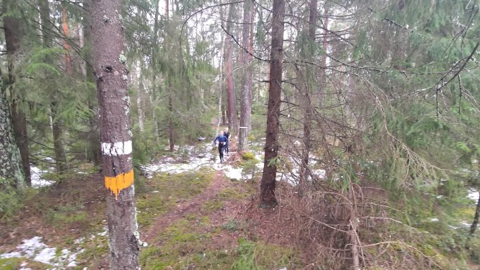 P_20240407_114742.jpg