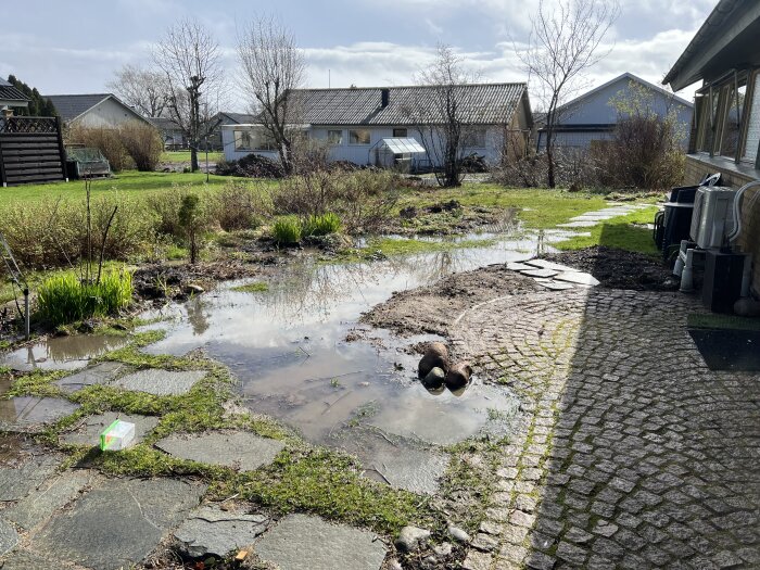 Vattenfylld trädgård med översvämningsproblem, betongplattor och dräneringsrör.