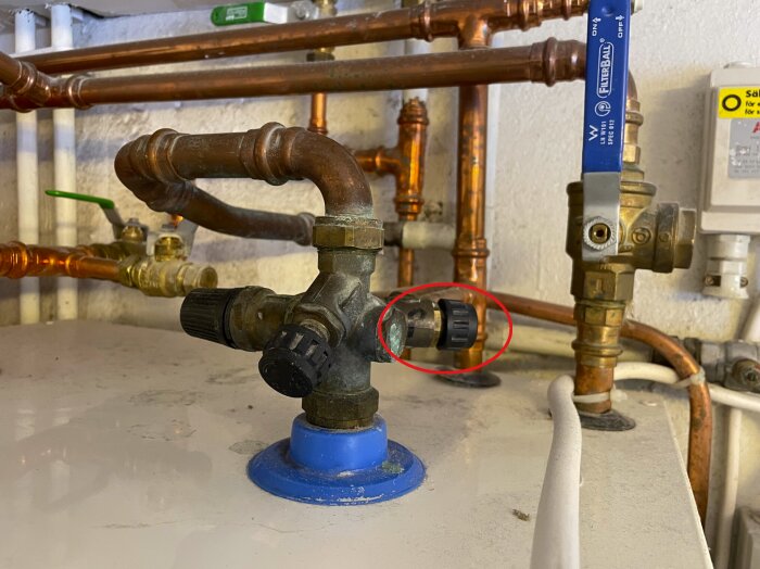 Ratt på vattenledning i pannrum markerad med röd cirkel, ansluten till kopparledningar.