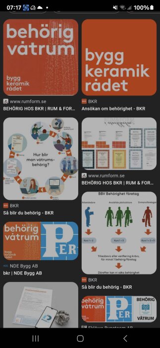 Skärmdump av webbsida med flera textfält och diagram som berör BKR behörighet och processen för att bli behörig inom byggsektorn.