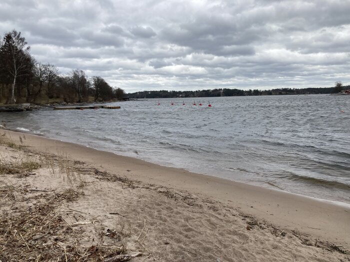 Molnig himmel över en strand med vass och röda bojar i sjön, ingen person synlig.