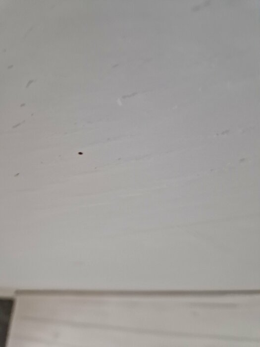 Vitmålat tak med brunaktiga fläckar och prickar nära taklist, indikerar möjlig fuktskada.