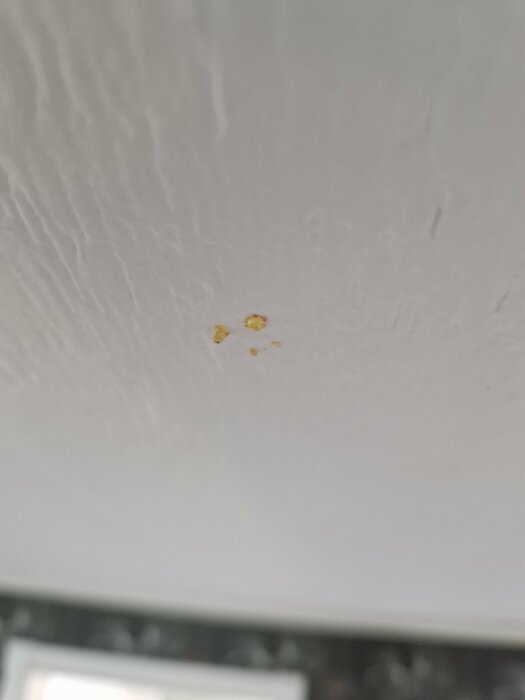 Bruna fläckar och prickar nära en taklampa på ett vitt tak, misstänkta fuktskador i vardagsrum.