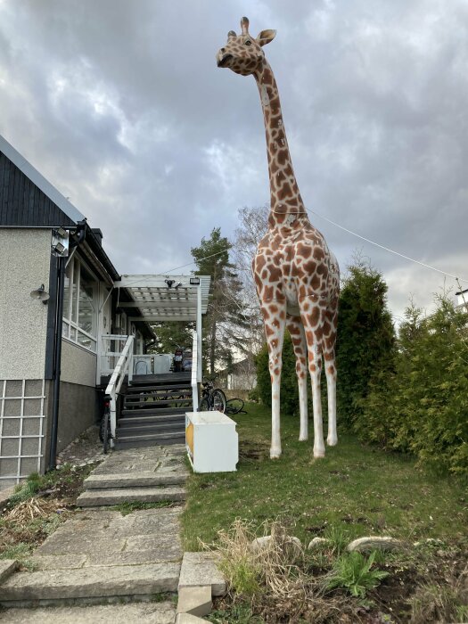 En stor giraffstaty står i en trädgård nära en vit husfasad och trappa.