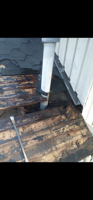 Ruttet och skadat trä under sönderslitet takmaterial kring ett rörgenomföring.