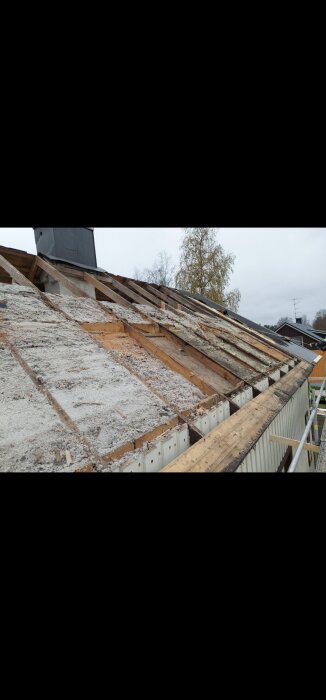 Ruttet och skadat tak under reparation med synliga takstolar och isoleringsbrist.