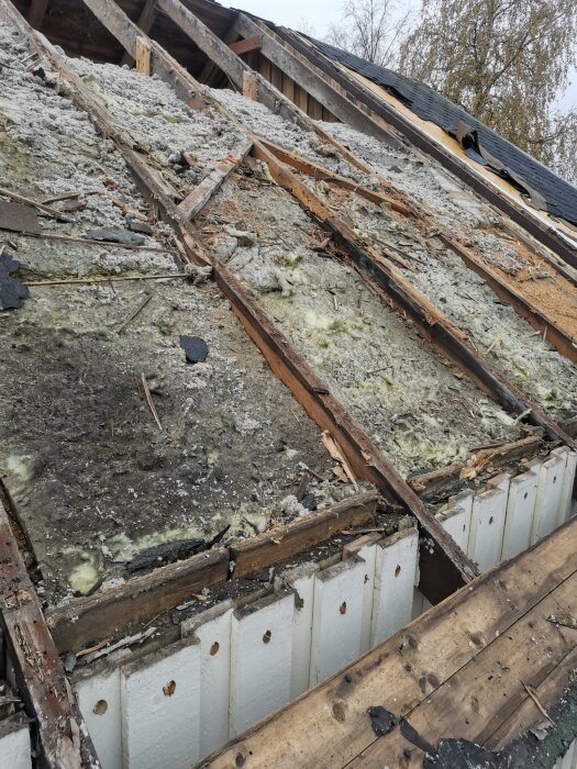 Delvis rivet tak som exponerar skadad isolering och ruttna träbjälkar på en byggnad.