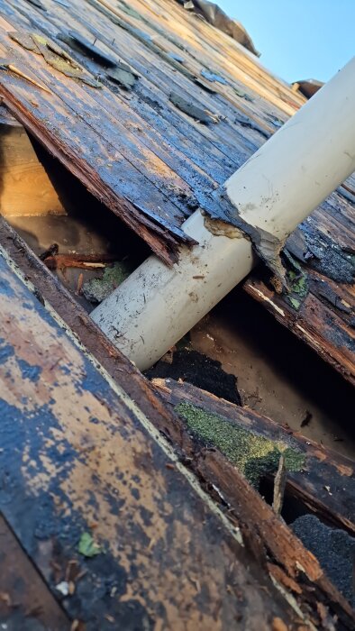 Närbild på ett skadat hus med ett ruttnande träbjälklag och en avlägsnad takpanna som uppvisar skador och brist på isolering.