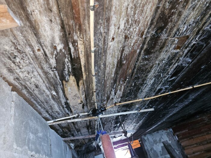 Murket och mögelskadat källartak i ett gammalt hus med synliga rör och fläckar.