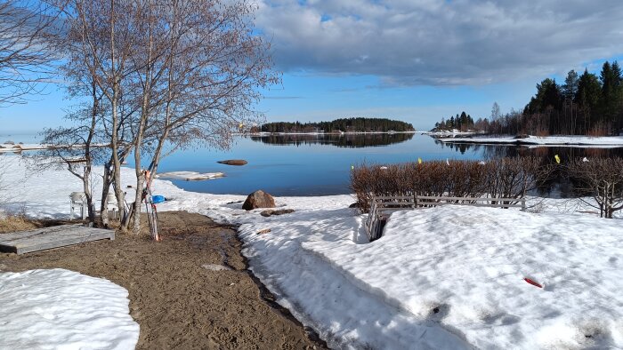 Vy över en sjö med smältande snö på strandkanten, omgiven av träd och buskar under en klarblå himmel.