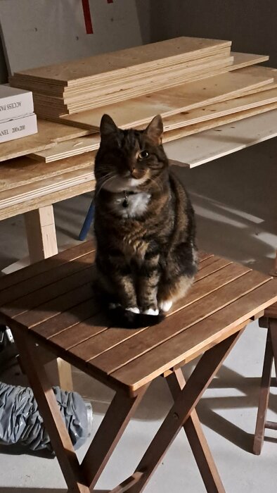 Brun och svart katt sittande på ett träbord i ett halvfärdigt byggprojekt.
