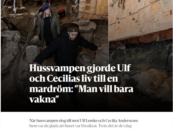 Par i en fuktig källare med synliga skador av hussvamp på väggar och grund.