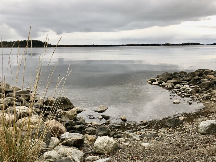 Gråmulet landskap med stilla sjövatten omgivet av runda stenar och strandvegetation under en molnig himmel.