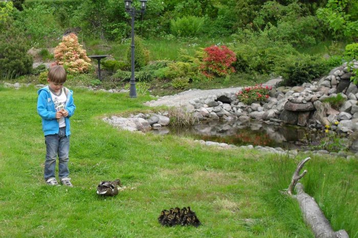 Alexander with ducks SDC10019 c cr c.jpg