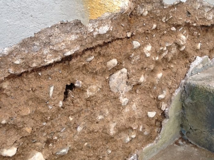 ImageUploadedByTapatalk HD1376045391.204054.jpg