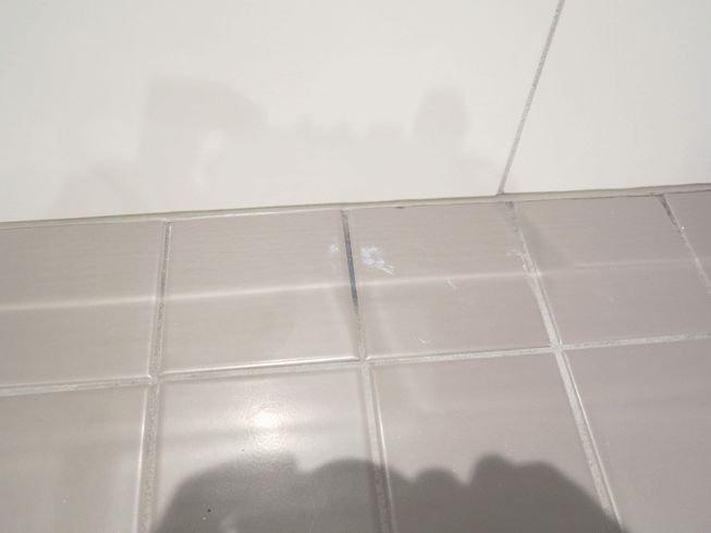 IMG_2880_0350.gif