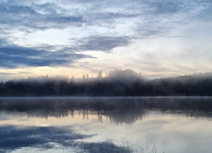 Dimmig sjö vid gryning med spegling av skog och himmel.