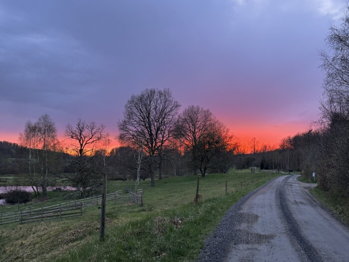 Landsväg vid solnedgång med intensiv rosa-orange himmel och silhuetter av träd.