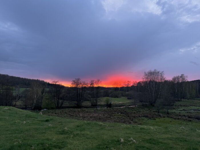 Solen går ner bakom träd siluetter med en dramatisk röd och lila himmel.