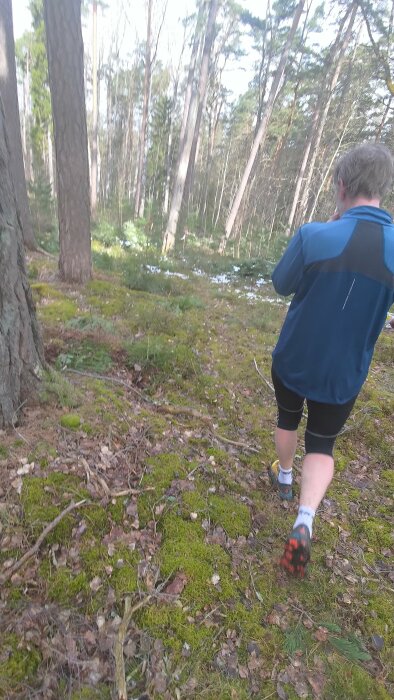 Person som vandrar i en skog med mossig mark och höga träd.