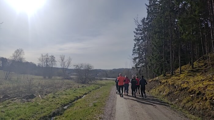 Grupp människor joggar längs en grusväg i lantlig miljö med skog och solsken.