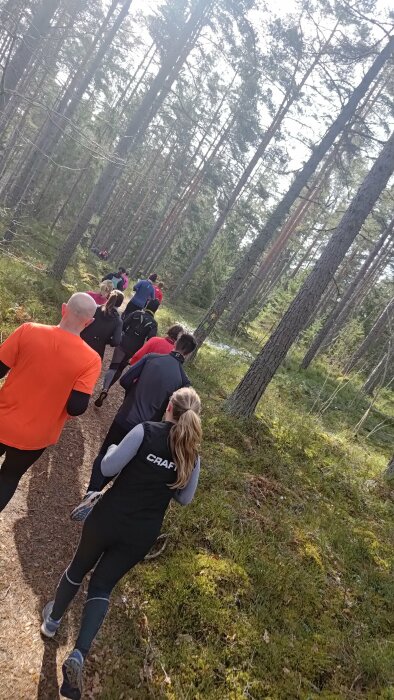 Grupp människor som joggar på en stig i skogen.