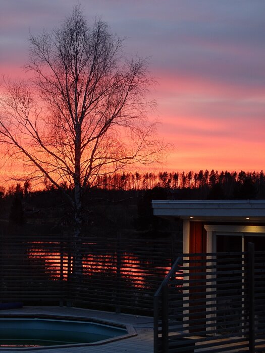 Solnedgång med rosa himmel bakom träd och silhuett av modern terrass med badtunna.