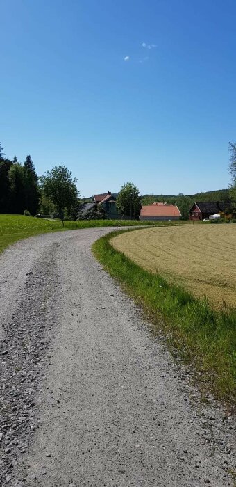 Soligt landskap med klar himmel över en grusväg, fält och hus, ingen regn i sikte.