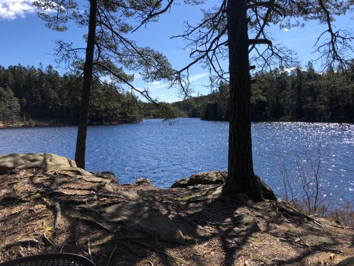 Skogsmark med stenar och tallar vid en glittrande sjö på Bohusleden.