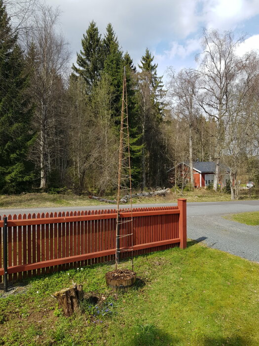 3 meter hög klätterställning för växter vid staket i trädgård, med trähus och skog i bakgrunden.