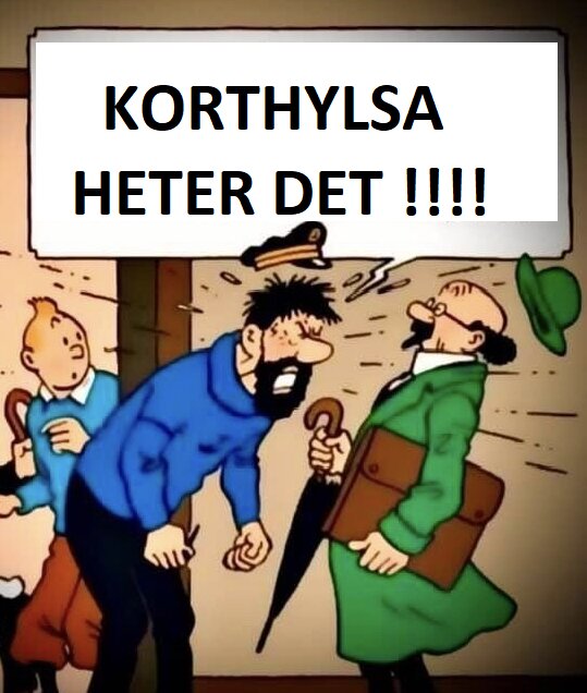 Illustration av tre animerade figurer, en arg karaktär håller en korthylsa med texten "KORTHYLSA HETER DET !!!