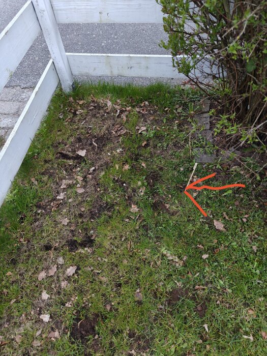 Trädgårdshörna med gräs och döda löv, marken uppgrävd för att lägga kabel, med pil som pekar på kabeldragningens riktning.